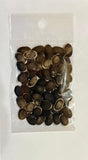 Loofah Seeds